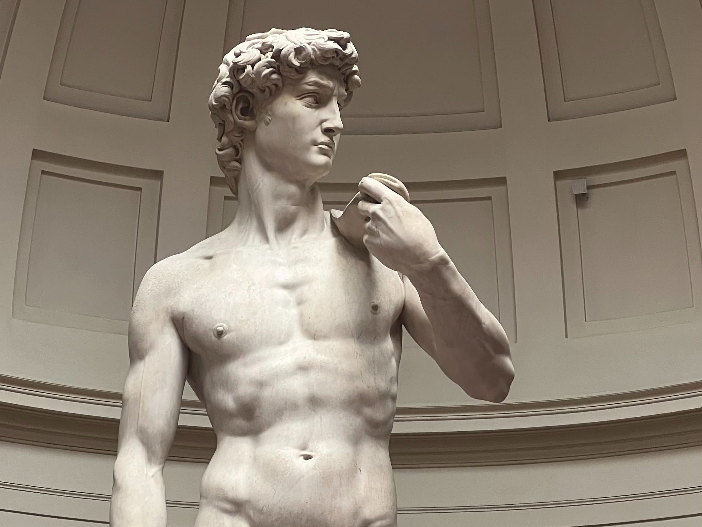 Plan Trimestral Completo Online